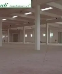 Bagni Di Tivoli: Affitto Magazzino da 1326mq