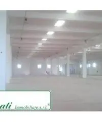 Bagni Di Tivoli: Affitto Magazzino da 810mq