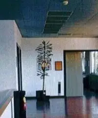 Campo Jemini: Vendita Capannone in S.R. 148 Pontina al Km 28,000