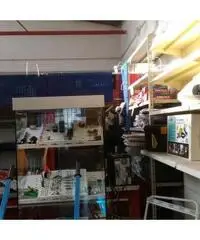 Capannone C/3 141 mq, San Cesareo, affittasi