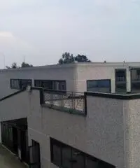 CAPANNONE IN AFFITTO