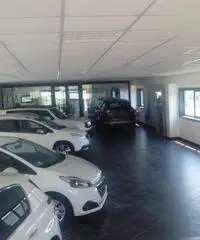 CAPANNONE IN AFFITTO