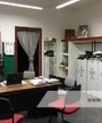 Casetta Mattei -  Laboratorio C/3  € 90.000 VG2356