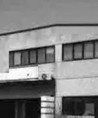 Cecchina: Vendita Capannone in via Catania