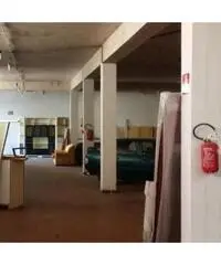 Cecchina: Vendita Magazzino in Via Nettunense, 197