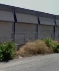 Cecchina: Vendita Capannone in Via Cancelliera