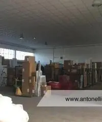 Ciampino -  Capannone C1/C2/C3 € 7.000 CA906 Ciampino -  Capannone C1/C2/C3 € 7.000 CA906