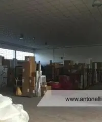 Ciampino -  Capannone C1/C2/C3 € 7.000 CA906 Ciampino -  Capannone C1/C2/C3 € 7.000 CA906