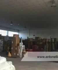 Ciampino -  Capannone C1/C2/C3 € 7.000 CA906 Ciampino -  Capannone C1/C2/C3 € 7.000 CA906