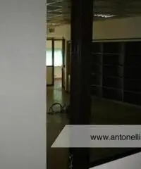 Ciampino -  Capannone mq 1500