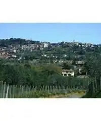 Colle Cavaliere-pietrara: Vendita Capannone in Via Nettunense