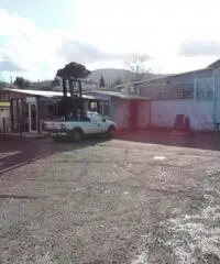 Colle Di Fuori: Vendita Capannone in Via San Cesareo