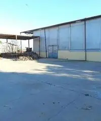 Fregene: Affitto Capannone in Viale di Porto