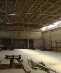 Isola Sacra: Affitto Capannone in FOCE MICINA