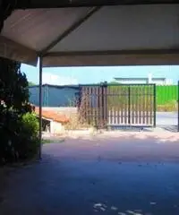 Isola Sacra: Affitto Capannone in FOCE MICINA