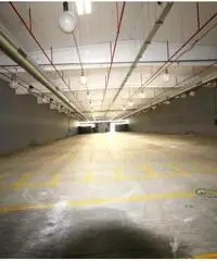 Le Piane: Affitto Capannone in Via Morlupo Le Piane: Affitto Capannone in Via Morlupo