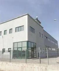 Monte Franco: Vendita Capannone in via di viale foresta