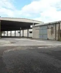 Monterotondo Scalo: Vendita Capannone in via I. Galvani Monterotondo Scalo: Vendita Capannone in via I. Galvani