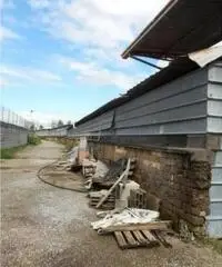 Monterotondo Scalo: Vendita Capannone in via I. Galvani Monterotondo Scalo: Vendita Capannone in via I. Galvani