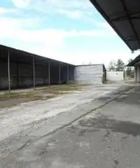 Monterotondo Scalo: Vendita Capannone in via I. Galvani Monterotondo Scalo: Vendita Capannone in via I. Galvani