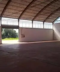 Ponte Storto: Affitto Capannone in Via Traversa del Grillo