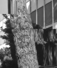 Pratica Di Mare: Vendita Capannone in Via della Chimica