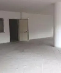 RifITI 003-V20/623 - Capannone Industriale in Affitto a Ariccia di 1600 mq
