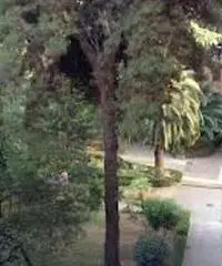 RifITI 048-AA15751 - Magazzino in Vendita a Roma - Ardeatino/Colombo/Garbatella di 48 mq RifITI 048-AA15751 - Magazzino in Vendita a Roma - Ardeatino/Colombo/Garbatella di 48 mq