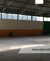 Romanina Tuscolana Capannone C3 mq 400 circa € 2.800 Romanina Tuscolana Capannone C3 mq 400 circa € 2.800