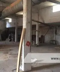 Roma- Zona Borghesiana- Capannone industriale