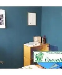 Santa Lucia: Vendita Capannone in Strada Provinciale 29b