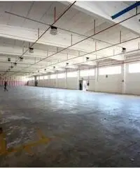 Santa Marta: Affitto Capannone in Via Morlupo