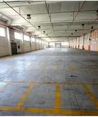 Santa Marta: Affitto Capannone in Via Morlupo