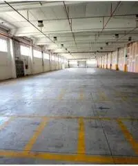 Santa Marta: Affitto Capannone in Via Morlupo