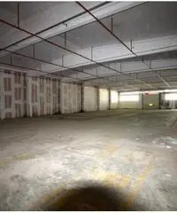 Santa Marta: Affitto Capannone in Via Morlupo