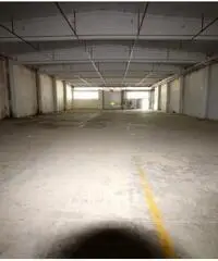 Santa Marta: Affitto Capannone in Via Morlupo