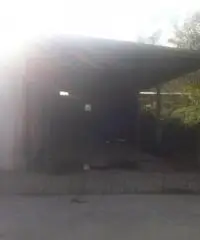 Testa Di Lepre Di Sopra: Vendita Capannone in Via dell'Arrone