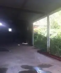 Testa Di Lepre Di Sopra: Vendita Capannone in Via dell'Arrone