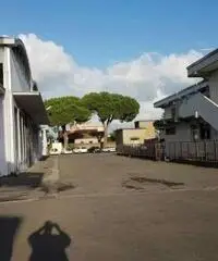 Vendita Capannone da 5800mq