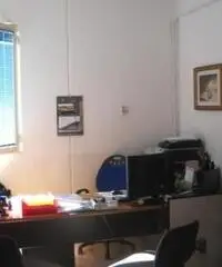 Vendita Capannone in Angelo Molinari