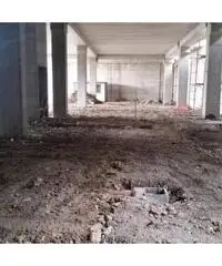 Vendita Capannone in Strada Statale 216 Vendita Capannone in Strada Statale 216