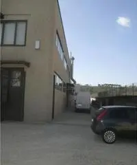 Vendita Capannone in Strada Regionale 155 Vendita Capannone in Strada Regionale 155