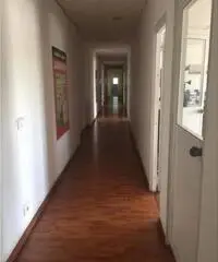 Vendita Capannone in Valle Caia