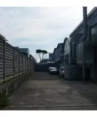 Vendita Capannone in Via Cancelliera, 60