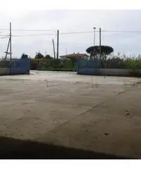 Vendita Capannone in Via dei Frati