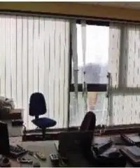 Vendita Capannone in Via della Muracciola, snc