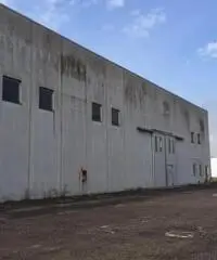 Capannone / Fondo in affitto a Noceto