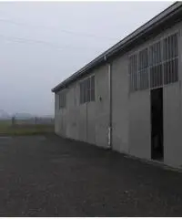 Capannone zona Lemignano di Collecchio