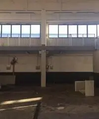 Rif: colornoFT3000 - Capannone in Affitto a Colorno