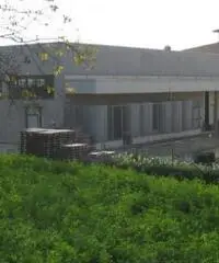 Rif: KC capannone Basilicanova - Capannone in Affitto a Montechiarugolo